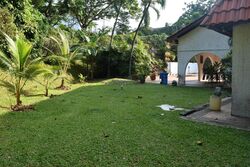 Ewart Park (D10), Detached #624513061